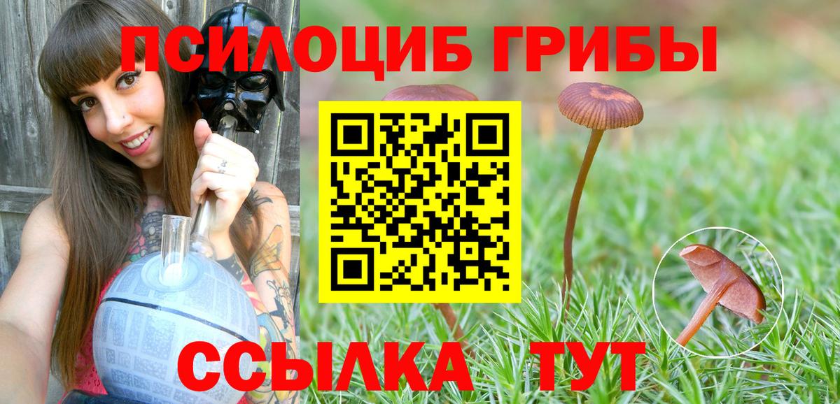купить  цена  Вход с VPN  Орск  Псилоцибиновые грибы GOLDEN TEACHER 